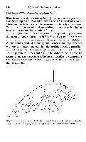 John K-J Li - Dynamics of the Vascular System, page 159